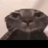 KUNG_
